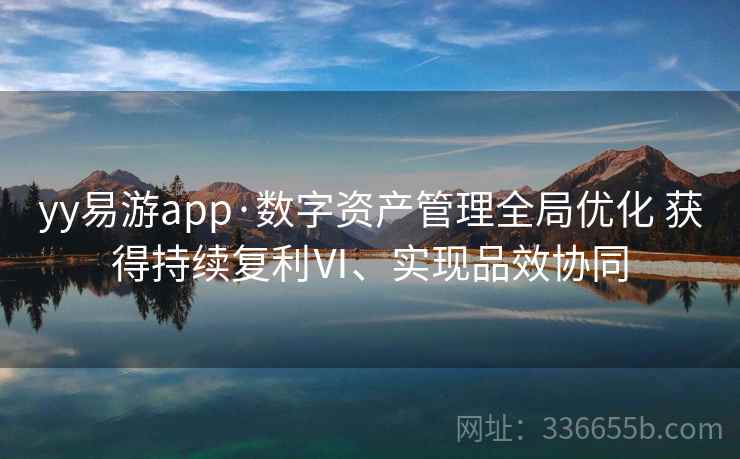 yy易游app·数字资产管理全局优化 获得持续复利Ⅵ、实现品效协同