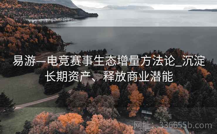 易游—电竞赛事生态增量方法论_沉淀长期资产、释放商业潜能