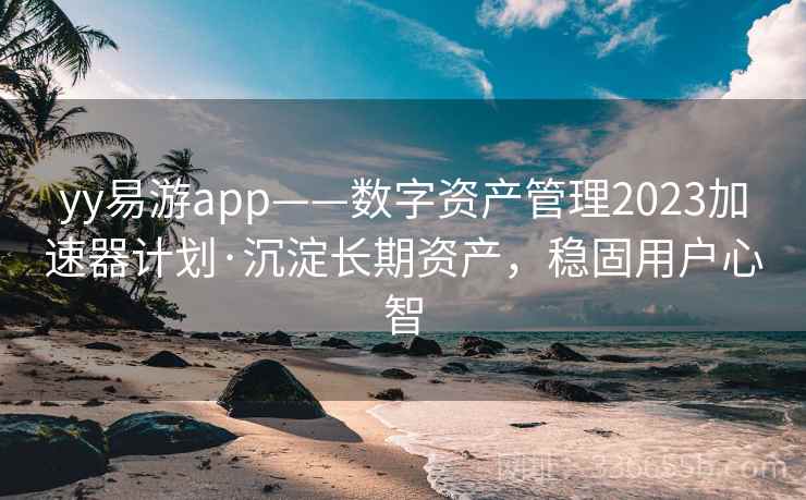 yy易游app——数字资产管理2023加速器计划·沉淀长期资产，稳固用户心智