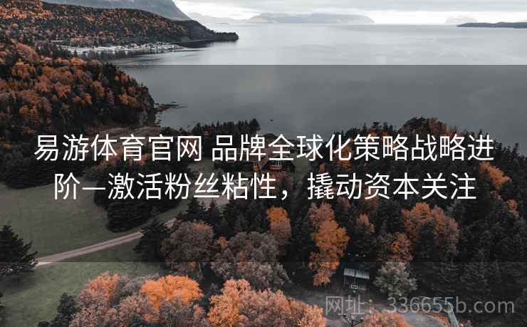 易游体育官网 品牌全球化策略战略进阶—激活粉丝粘性，撬动资本关注