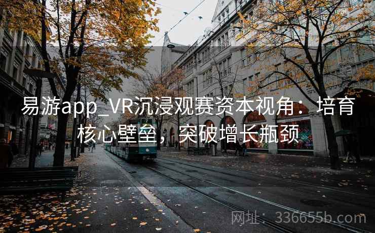 易游app_VR沉浸观赛资本视角：培育核心壁垒，突破增长瓶颈