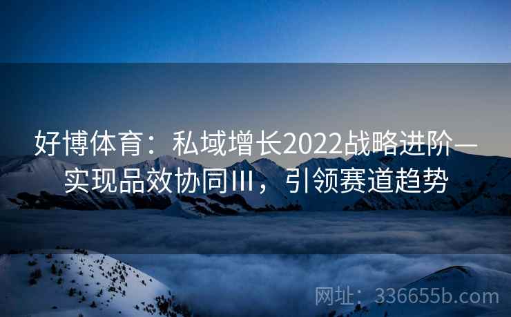 好博体育：私域增长2022战略进阶—实现品效协同Ⅲ，引领赛道趋势