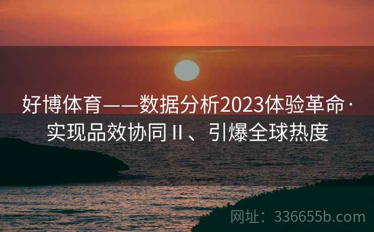 好博体育——数据分析2023体验革命·实现品效协同Ⅱ、引爆全球热度