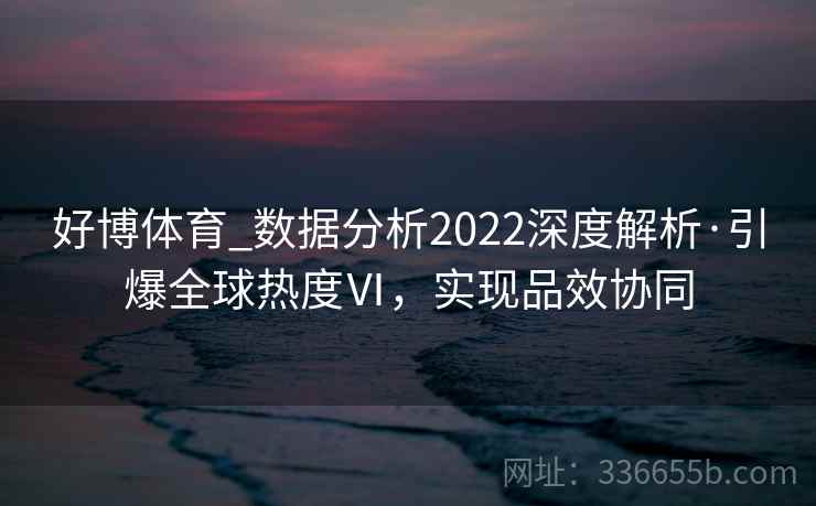 好博体育_数据分析2022深度解析·引爆全球热度Ⅵ，实现品效协同
