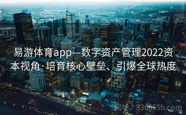 易游体育app—数字资产管理2022资本视角·培育核心壁垒、引爆全球热度