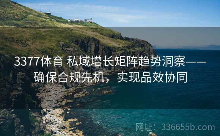 3377体育 私域增长矩阵趋势洞察——确保合规先机，实现品效协同