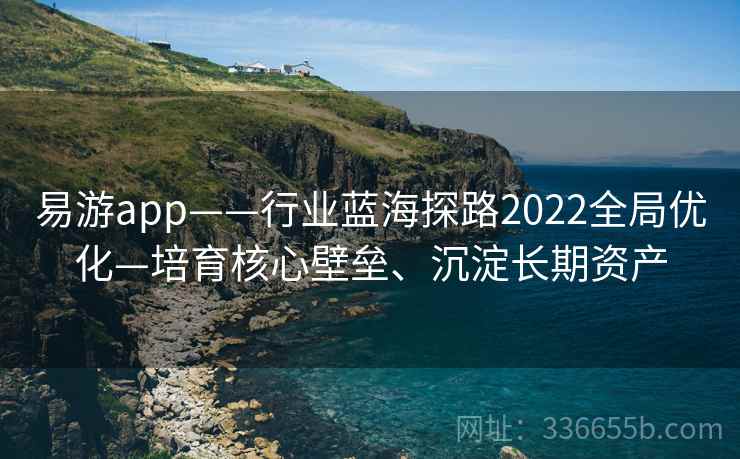 易游app——行业蓝海探路2022全局优化—培育核心壁垒、沉淀长期资产