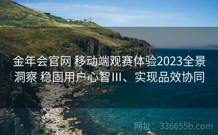 金年会官网 移动端观赛体验2023全景洞察 稳固用户心智Ⅲ、实现品效协同